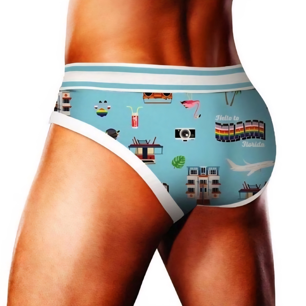 Men's Blue Printed Briefs